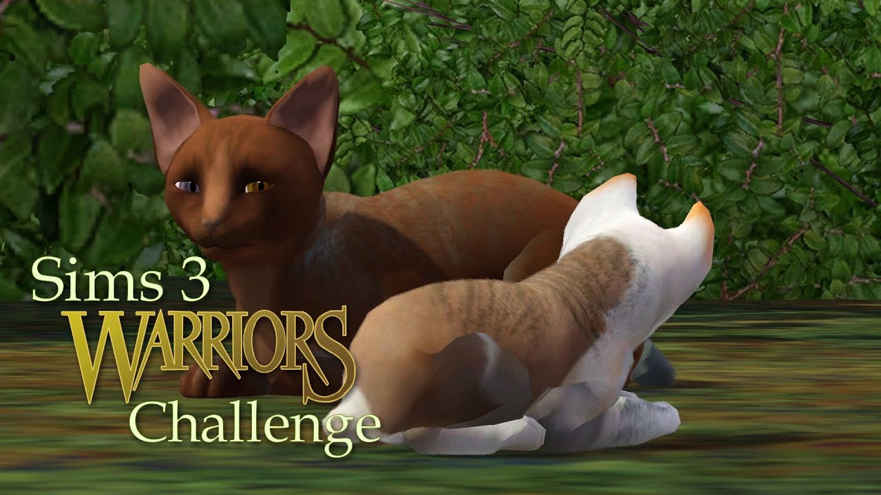 Warrior Cats, Warriors, Cats, Sims 3, sims challenge.