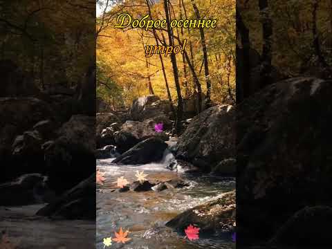 Доброе утро!🍁☕💋
