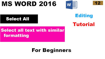 Select all and select all text with similar formatting - MS Word in sindhi - For Beginners
