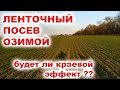 ПОСЕВ ПШЕНИЦЫ МЕЖДУРЯДЬЕ 25 см -КРАЕВОЙ ЭФФЕКТ СДВОЕННОГО РЯДКА #анкерный_сошник