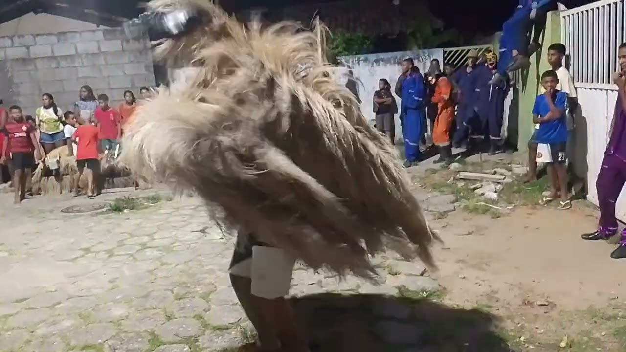 Boi duro aí seu te pego 