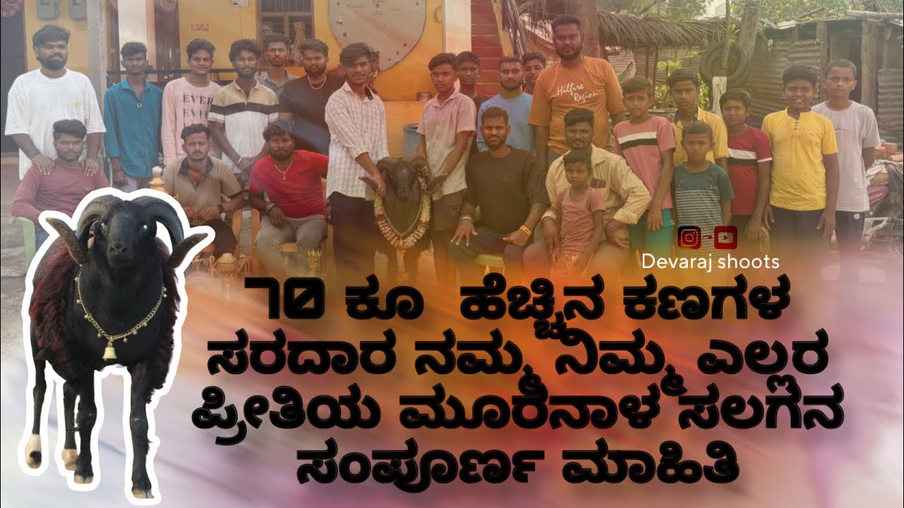 70ಕೂ ಹೆಚ್ಚಿನ ಕಣಗಳ ಸರದಾರ ನಮ್ಮ ನಿಮ್ಮ ಎಲ್ಲರ ಪ್ರೀತಿಯ ಮೂರೆನಾಳ ಸಲಗಿನ ಸಂಪೂರ್ಣ ಮಾಹಿತಿ #karnataka #ytshorts