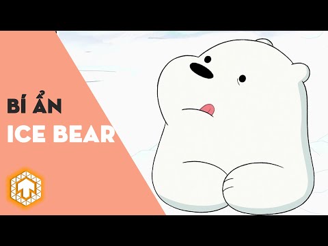 Video Những Sự Thật Thú Vị Về Gấu Trắng | We Bare Bears | Ka... - youtube
