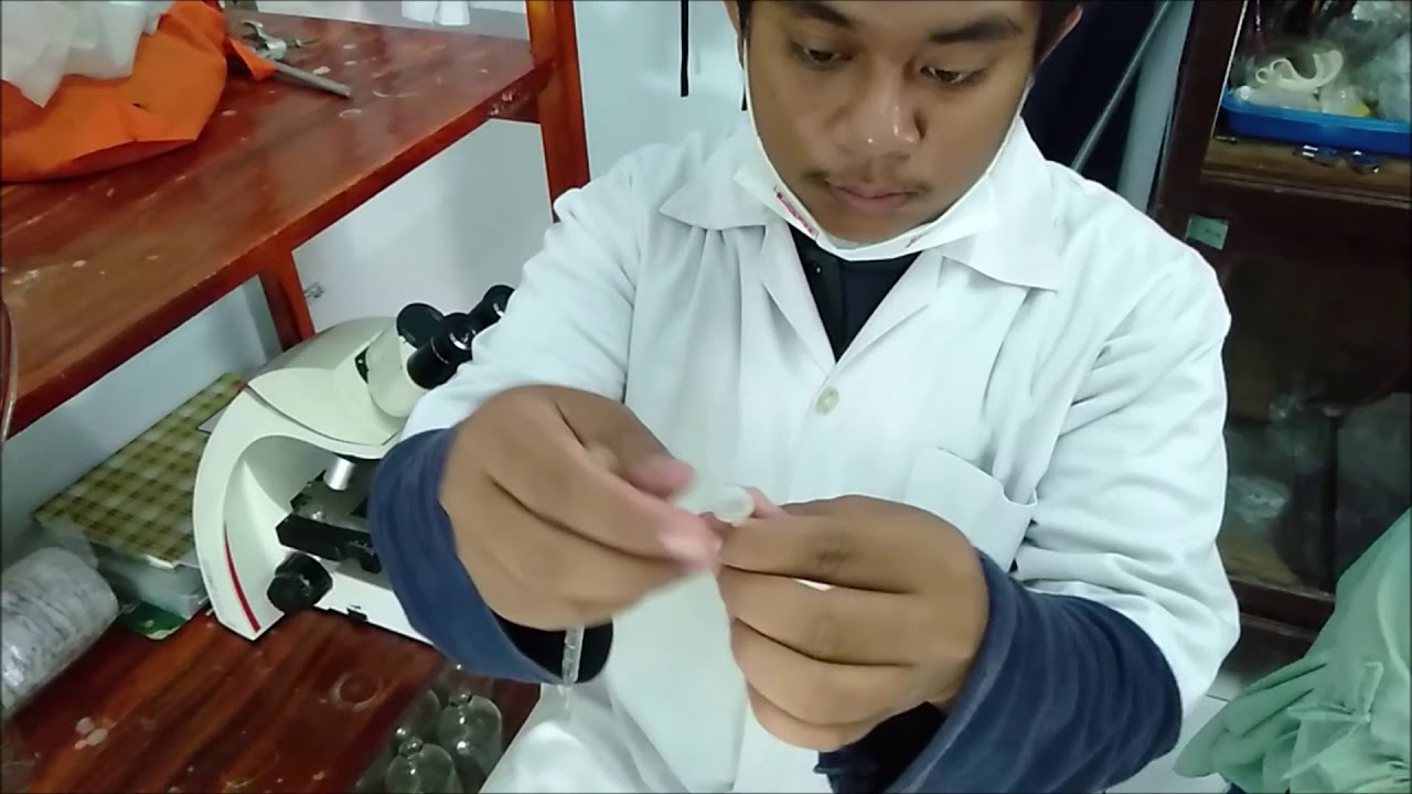 PENGAMATAN DINOPHYTA, OCHROPHYTA dan EUGLENOPHYTA