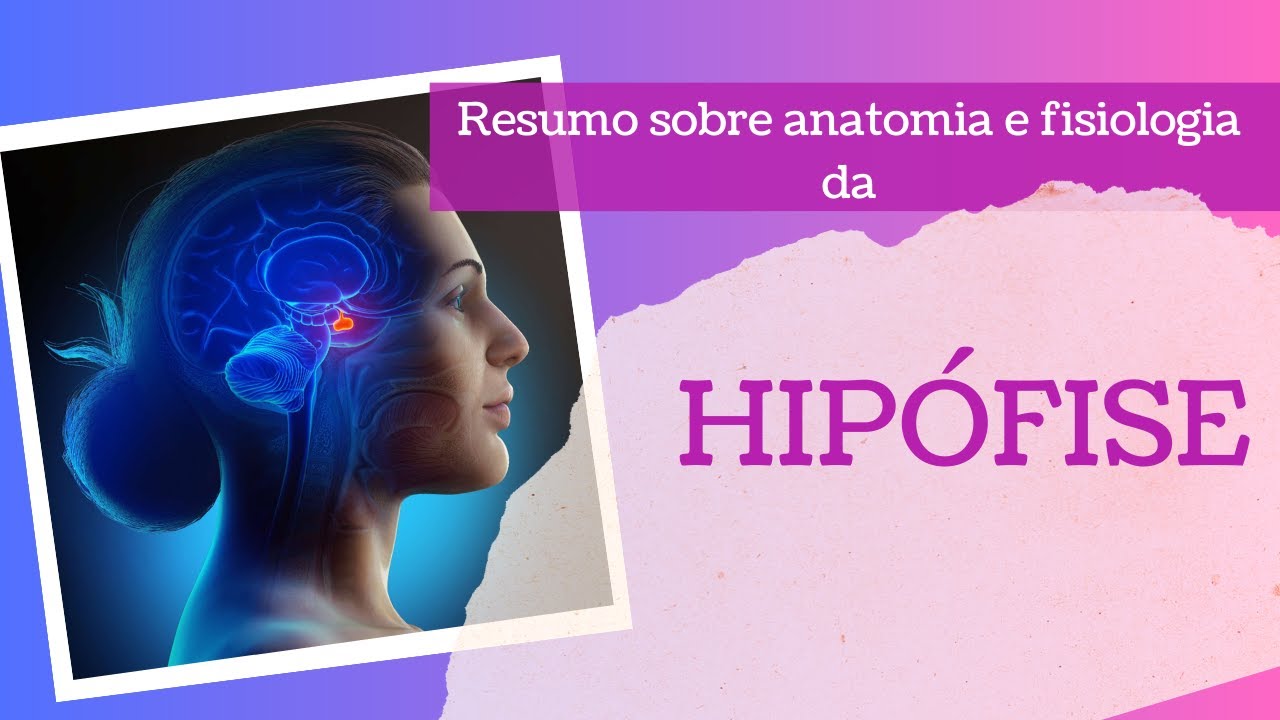 Anatomia e fisiologia da hip fise resumo youtube
