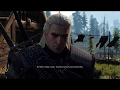 The Witcher 3 Naranca in game RARE music.
