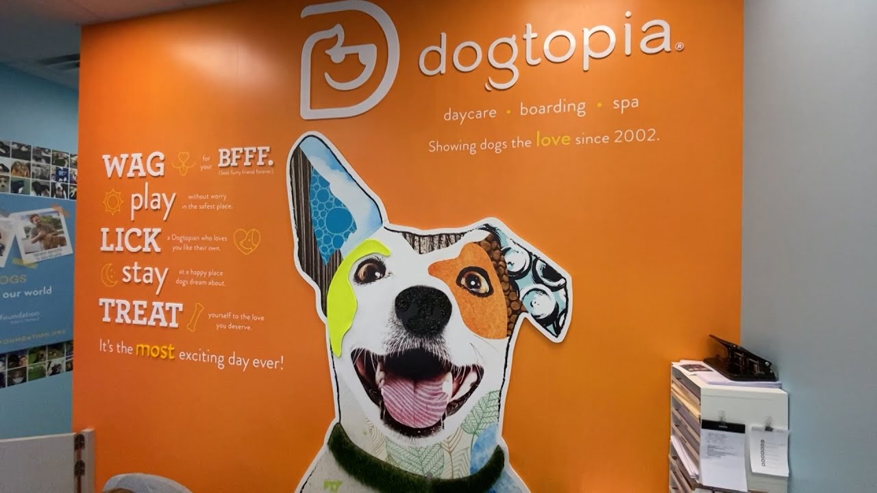 how much can you make owning a dogtopia