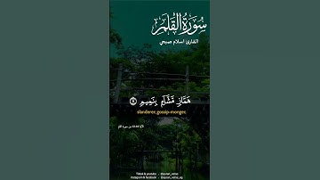 #fyp #foryou #foryoupage #fyp #سورة القلم #اسلام صبحي