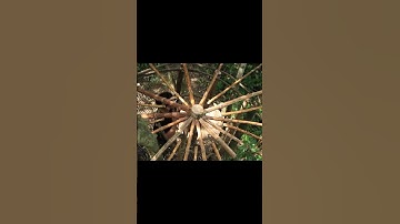 Part 5 How I Build a Tree Shelter Using Vines to Survive in the Rainforest