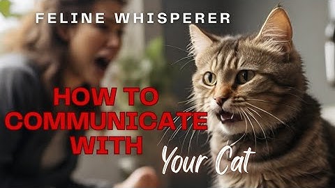 How to Master Cat Communication: Become a Feline Whisperer!
