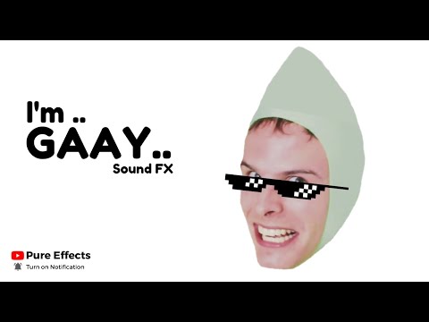 lm-gay---sound-effect-(hq)