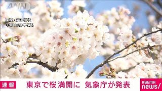【速報】東京でソメイヨシノ満開　統計史上2番目の早さ　気象庁(2023年3月22日)