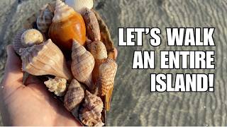How far would you go for seashells?