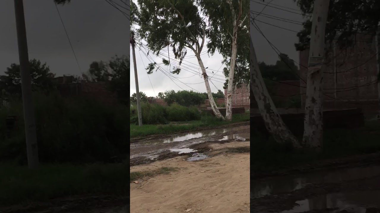 Village Weather YouTube