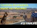 32 vanlife  grootste dromedaris markt van marokko en naar de dierenarts