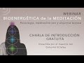 Webinar Bioenergética De La Meditación. Charla De Introducción