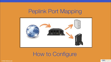 Port Mapping on the Peplink MAX BR1 - How to Configure