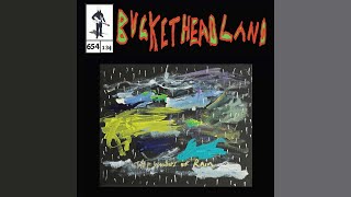 NEW ALBUM!! The Wonders Of Rain - Buckethead (Pike 654)