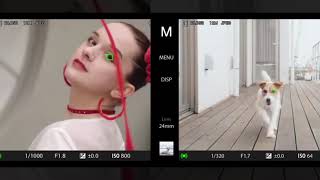 Sony Xperia 1 II - What's Going On?