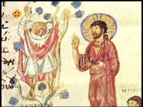 მეზვერე ზაქეს მოქცევა