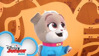 Ants 🐜  | Music Video | Puppy Dog Pals | Disney Junior