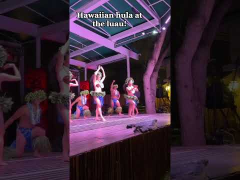 Video: Beoordeling van het feest in Lele in Lahaina, Maui