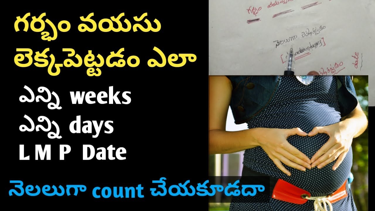 how-to-calculate-pregnancy-months-in-telugu-pregnancy-weeks-and