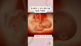 BABY IN THE WOMB! ULTRASOUND, PREGNANT! PREGNANCY! BABY #pregnancy #newborn #pregnancytransformation