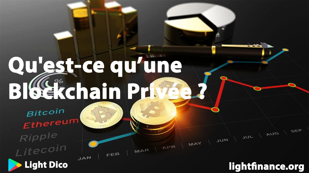 Light Dico; Qu'est-ce qu'une Blockchain privée ?