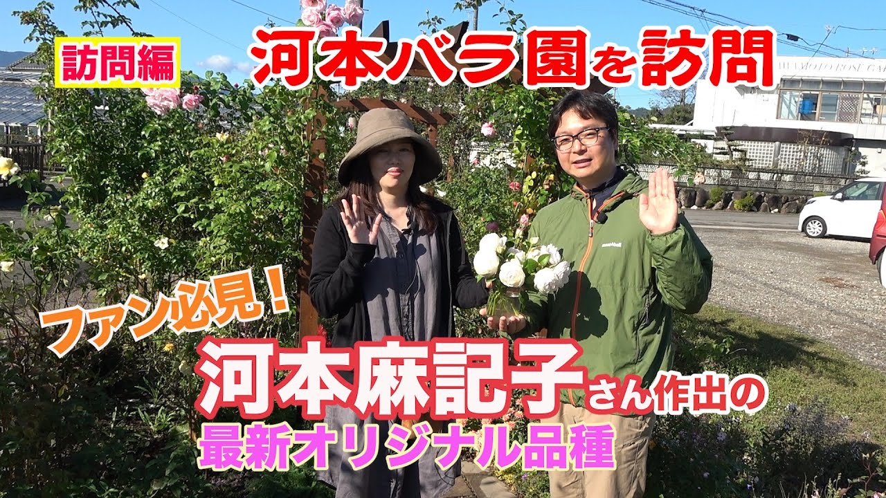 河本バラ園を訪問　ファン必見！河本麻記子さん作出の最新オリジナル品種～ガーデンドクターTV63