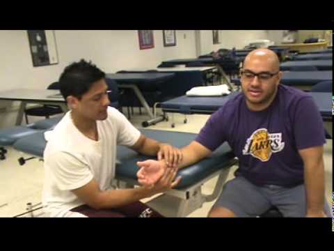 Joint Mob Distal Radial Ulnar Joint Volar Glide Student - YouTube