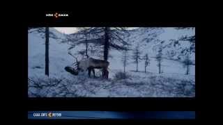 Фильм о Якутии в Каннах. Фильм о Якутии в Каннах.
