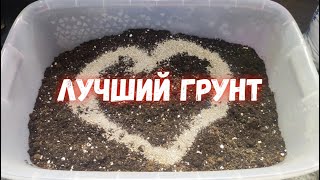 Лучший Грунт Для Рассады Томатов, Перцев, Огурцов И Рассада Будет Мощная, Здоровая И Урожайная