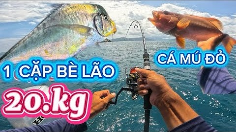 Đi Cano Câu Jigging Côn Đảo ! Điểm Nước Sâu 50m ! DÍNh CẶP CÁ 20KG KÉO CHẠY KHÔNG NGỪNG ! 