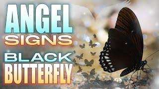 Black butterfly meaning