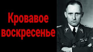 Шеф гестапо Генрих Мюллер  Вербовочные беседы Дуглас Грегори  Аудиокнига @19