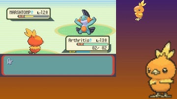 Pokemon Ruby   Torchic Only Run May Second Encounter