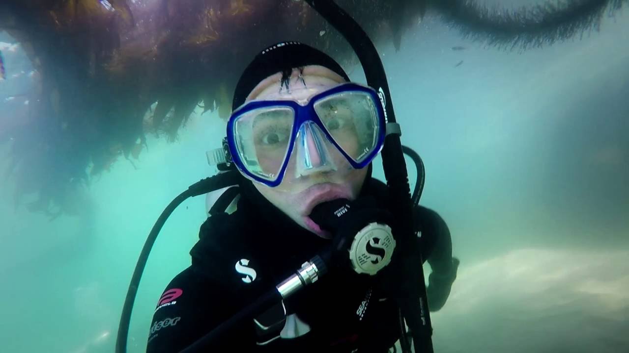 First Time Scuba Diving in Monterey California YouTube