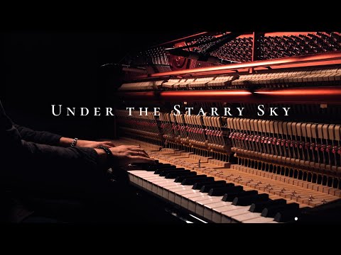 Under the Starry Sky - Alexander Motovilov