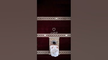تــلاوة|الـشيـخ|عـلـي جـابـر|#علي_جابر#تلاوة_هادئة#تلاوة_مميزة#تلاوة_خاشعة#قرآن#القرآن_الكريم#quran|