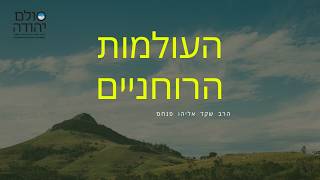 למה ללמוד על עולמות רוחניים שאינם מושג לנו בכל מקרה? הרב שקד אליהו פנחס | סולם יהודה