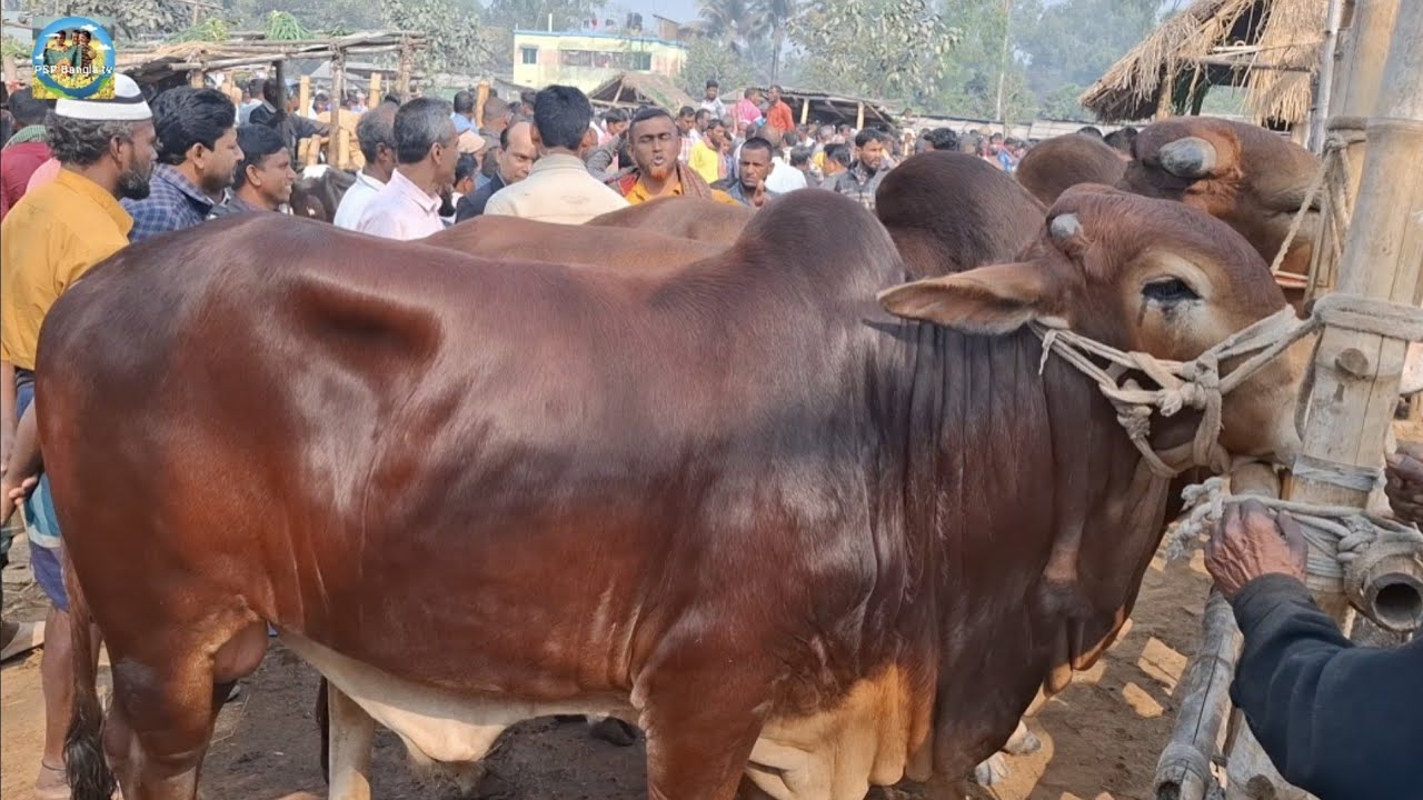 @ শুক্রবার ২০ ফেব্রু