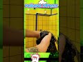 Give the cute baby a bubble bath.#relaxation #pets #comfort #asmr #dog #cute #asmr