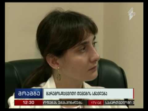 საბავშვო ბაღებში გარემოსდაცვითი თემების სწავლება იწყება