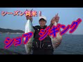 夕マヅメのショアジギング！ハマチにマダイも凄かった！　岡山のショアジギングがシーズンin！
