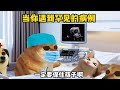 人的无知有多可怕#酸辣土狗丝 #动画 #勇闯后室