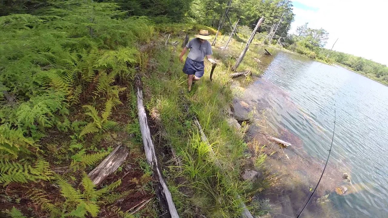 Larry landing a pickerel YouTube