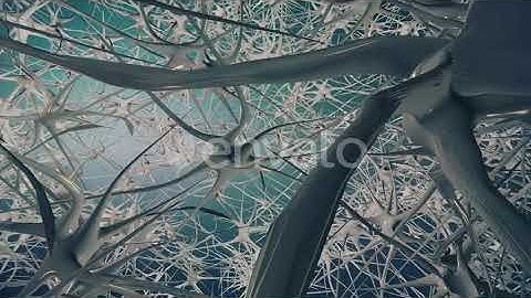 Brain Activity Network Of Neurons And Synapses | Motion Graphics - Videohive template