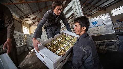 National Export Strategy, Informational Video (Produced for the ITC)