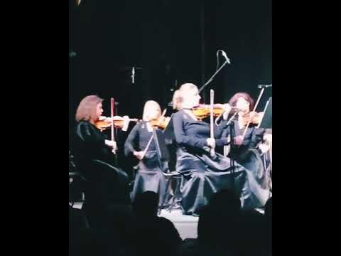 Оркестр и Чайковский #фестиваль #концерты #музыка #music #festival # ...
